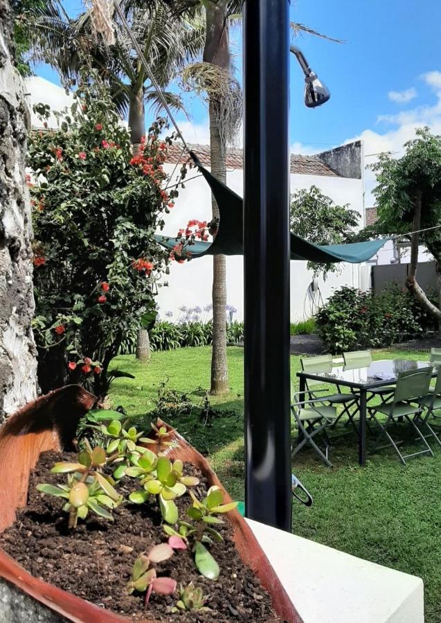 Vila Nikau - Garden By The Sea Lagoa  Buitenkant foto